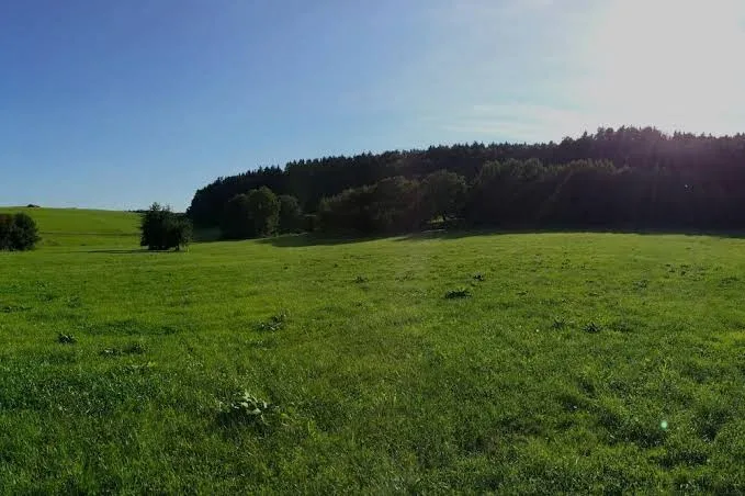 Wald-Arbeiter-Wohnung-Santl